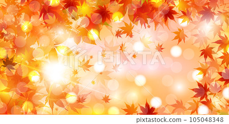  Autumn leaves maple autumn background 105048348