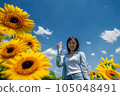 woman in sunflower 105048491
