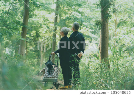 senior, husband and wife, back view 105048635
