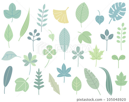 A set of illustrations of natural leaves such as clover and ginkgo (light color version) A set of illustrations of natural leaves such as clover and ginkgo (light color version) 105048920