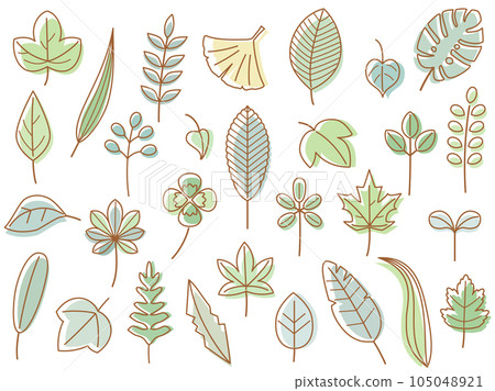 三葉草、銀杏等自然樹葉插畫,線描與色彩的組合版 三葉草、銀杏等自然樹葉插畫,線描與色彩的組合版 105048921