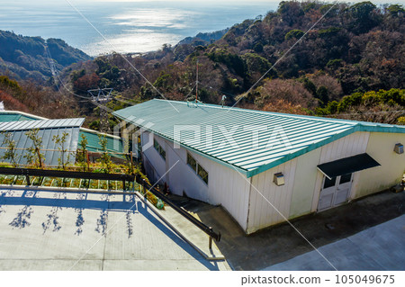 [靜岡的風景] 從日本平（駿河灣方向）看到的景色 105049675