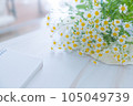 Matricaria white flower and diary 105049739