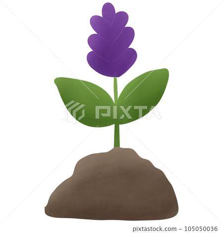 Flower on the ground Flower on the ground 105050036