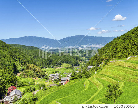 [HDR] Scenery of the Asuka Murakami district with fresh green terraced rice fields 105050596