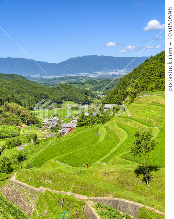 [HDR] 飛鳥村上地區的風景，翠綠的梯田 105050598
