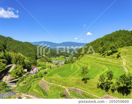 [HDR] Scenery of the Asuka Murakami district with fresh green terraced rice fields 105050600