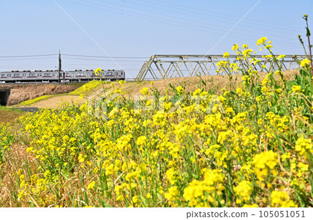 Railway Private Railway: Tobu Isesaki Line Series 10000 Hanyu City, Saitama Prefecture 105051051
