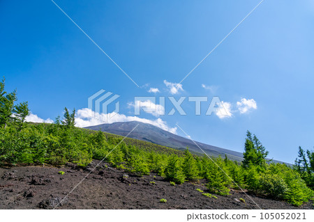 [山梨縣]從No.5看到的富士山山頂（7月） 105052021