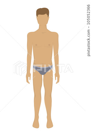 Vector male body in underwear. Vector male body in underwear. 105052366
