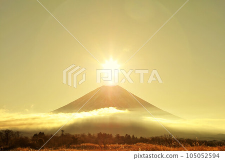 Diamond Fuji Diamond Fuji 105052594