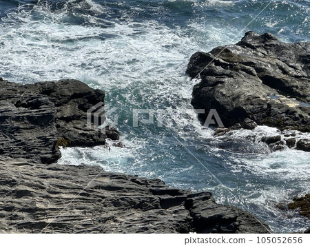 城島 城島 105052656