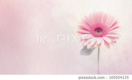 Abstract Floral Pink Gerbera Flower Watercolor Background On Paper AI Generated 105054135