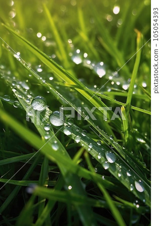 close-up of dewdrops on fresh green grass, created with generative ai close-up of dewdrops on fresh green grass, created with generative ai 105054393
