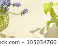 Muscari Flowers and Lime Pothos <Flowers in a bottle on a table by the window> 105054760
