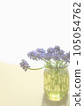 Muscari flowers <flowers in the image of spring in a bottle on the table by the window> 105054762