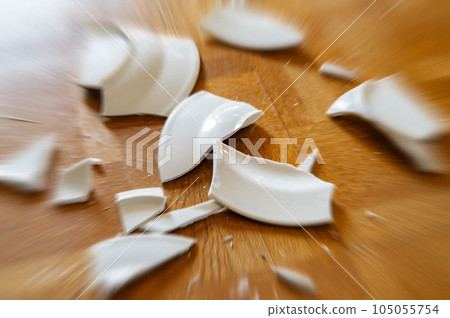 A plate dropped on the floor and shattered into pieces 105055754