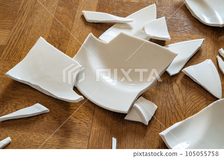 A plate dropped on the floor and shattered into pieces 105055758