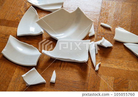 A plate dropped on the floor and shattered into pieces 105055760
