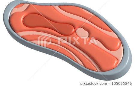 3D illustration, thick slices of raw salmon of fresh sashimi or trout sashimi 3D illustration, thick slices of raw salmon of fresh sashimi or trout sashimi 105055846