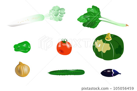 Illustration set of summer vegetables that can be used Illustration set of summer vegetables that can be used 105056459
