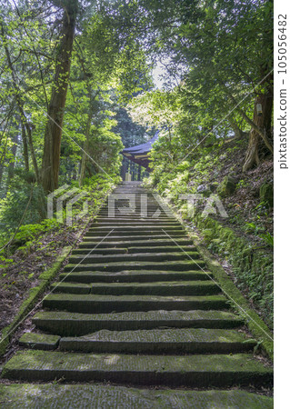 Looking up at the stone steps, you can see the building in the forest 105056482