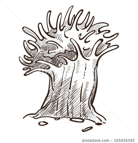 Seaweed or sponge, underwater plant or animal isolated sketch Seaweed or sponge, underwater plant or animal isolated sketch 105056585