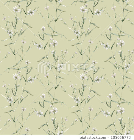 Watercolor seamless pattern with stellaria holostea. Rabelera holostea. Hand painted small white flower and leaves isolated on green background. Illustration for design, fabric, print or background. Watercolor seamless pattern with stellaria holostea. Rabelera holostea. Hand painted small white flower and leaves isolated on green background. Illustration for design, fabric, print or background. 105056773