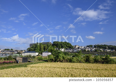 Clear autumn sky and vast countryside 105056857