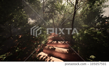 foggy trek through the dense tropical foliage foggy trek through the dense tropical foliage 105057501