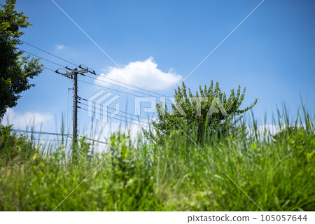 electric wire electric power summer landscape sky image electric wire electric power summer landscape sky image 105057644