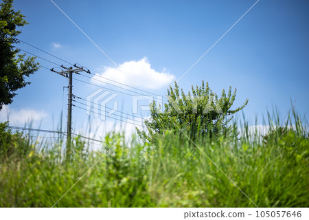 electric wire electric power summer landscape sky image electric wire electric power summer landscape sky image 105057646