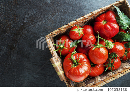 Tomatoes Tomatoes 105058188