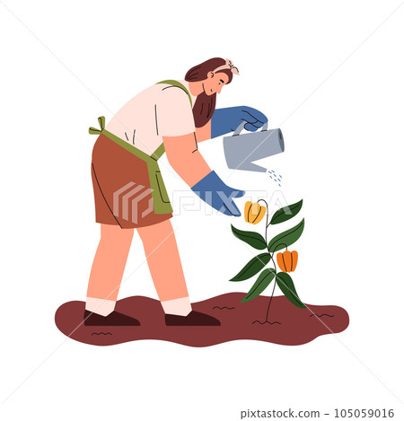 Farmer or gardener watering plant with watercan, vector illustration isolated. Farmer or gardener watering plant with watercan, vector illustration isolated. 105059016