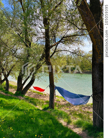 hammocks hanging from the trees near the river bank 105059395