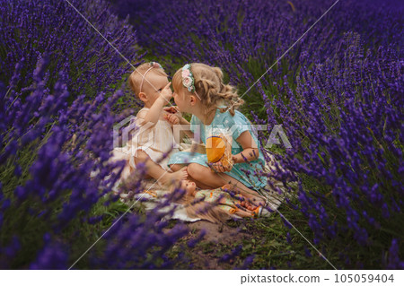 two sisters on a picnic in a lavender field 105059404