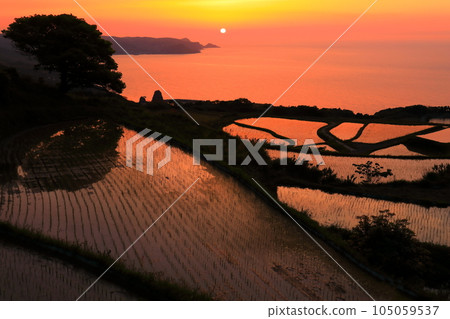 [山口縣]多哥Hat多梯田日落 105059537