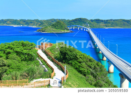 [山口縣] 天氣晴朗的角島大橋 105059580