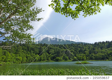 Mount Rishiri seen from Himenuma, Rishiri Island, Hokkaido 105059637
