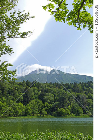 Mount Rishiri seen from Himenuma, Rishiri Island, Hokkaido 105059639