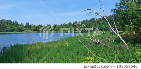 Himenuma Rishiri Island Hokkaido 105059646