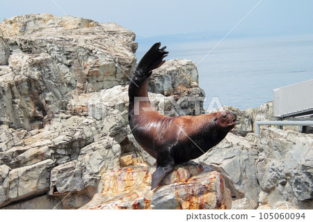 Umitimago的Todo 105060094