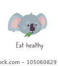 gray koala chews foliage and the inscription Healthy nutrition. Funny australian animal in cartoon style. Isolated on a white background. Funny illustration for banners, posters, cards 105060829
