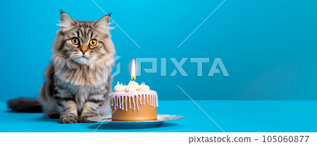 Cute cat with a colorful birthday cake with a candle on a blue background 105060877
