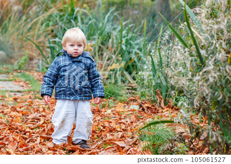Cute little boy playing with maple leaves outdoors. Happy child walking in autumn park. Toddler baby boy wears trendy jacket . smiling Blonde boy portrait. Autumn fashion. Stylish child outside. 105061527