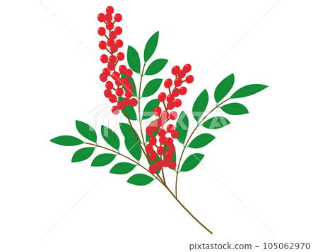 南天圖標 南天圖標 105062970