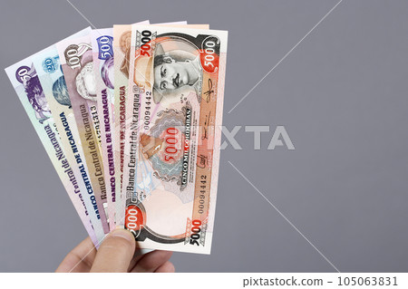 Nicaraguan money in the hand on a gray background 105063831