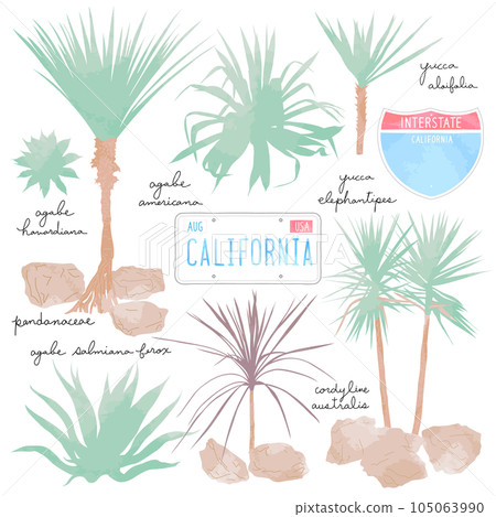 水彩乾燥花園 105063990