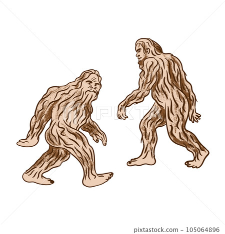 Hand drawn illustration of bigfoot sasquatch yeti creature monster. Beige brown wild fur furry hairy mythical character, isolated on white. Strong animal nature walking. Hand drawn illustration of bigfoot sasquatch yeti creature monster. Beige brown wild fur furry hairy mythical character, isolated on white. Strong animal nature walking. 105064896
