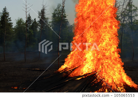 Forest fire. La Palma. California. Forest fire in progress. Wildfire. Large flames of forest fire. Incendio forestal. La Palma. Puntagorda. Tijarafe. Spain. Caldera de Taburiente National Park. Turkey Forest fire. La Palma. California. Forest fire in progress. Wildfire. Large flames of forest fire. Incendio forestal. La Palma. Puntagorda. Tijarafe. Spain. Caldera de Taburiente National Park. Turkey 105065553